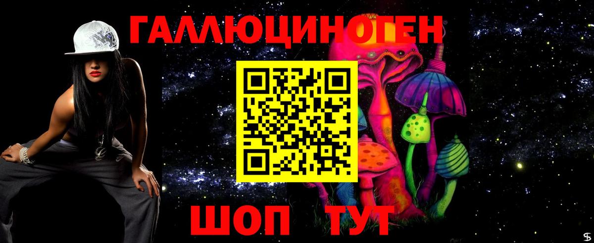 Батайск  Псилоцибиновые грибы Psilocybe  Вход с VPN 